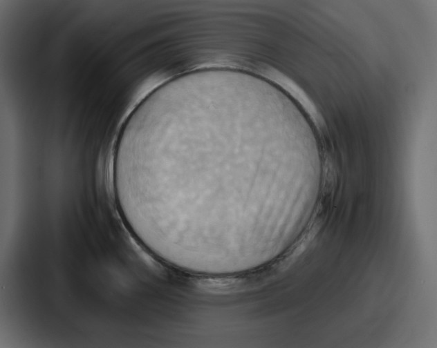 X0000086771290200705111728