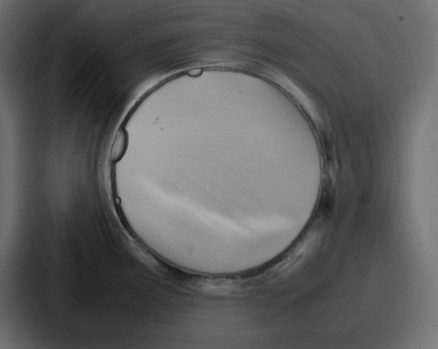 X0000086771291200705111728