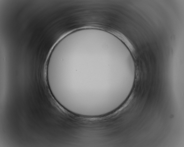 X0000086771292200705111728