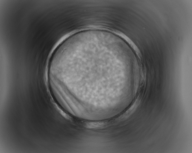 X0000086771294200705111727