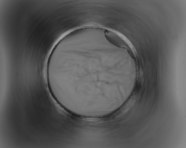 X0000086771295200705111727