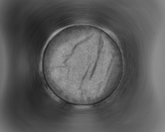 X0000086771296200705111727