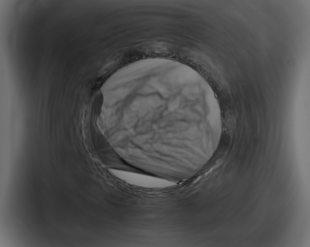 X0000086771297200705111727