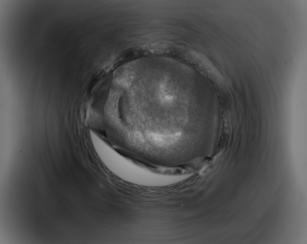X0000086771298200705111727