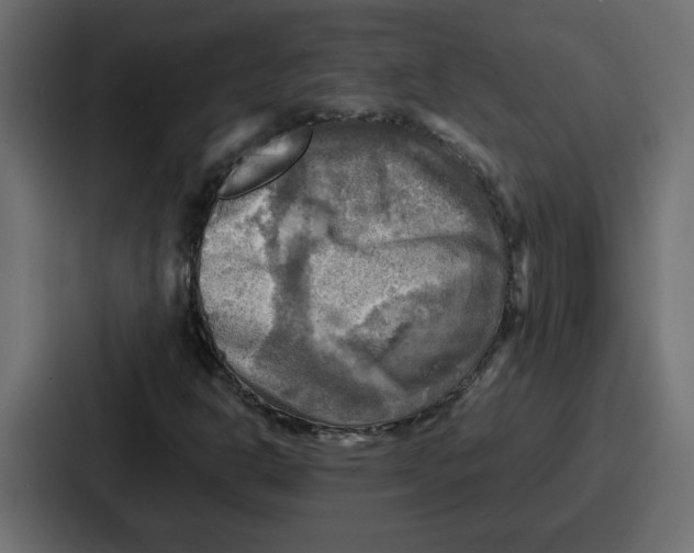 X0000086771302200705111727