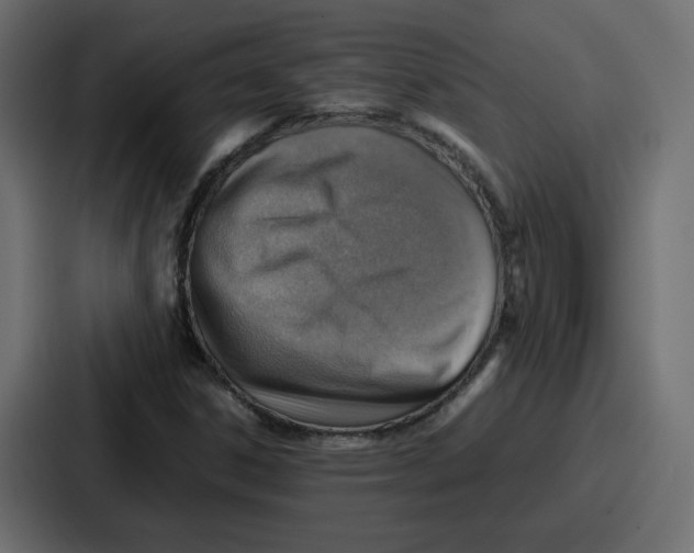 X0000086771306200705111727
