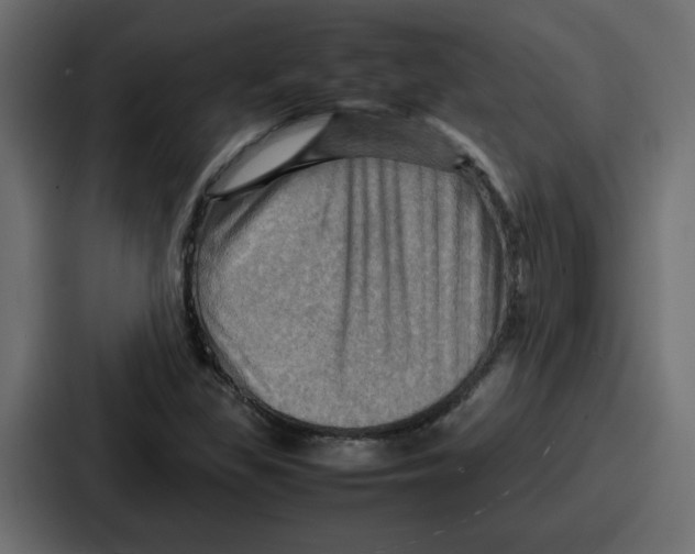 X0000086771309200705111727