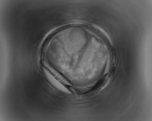 X0000086771310200705111727