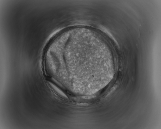 X0000086771312200705111727