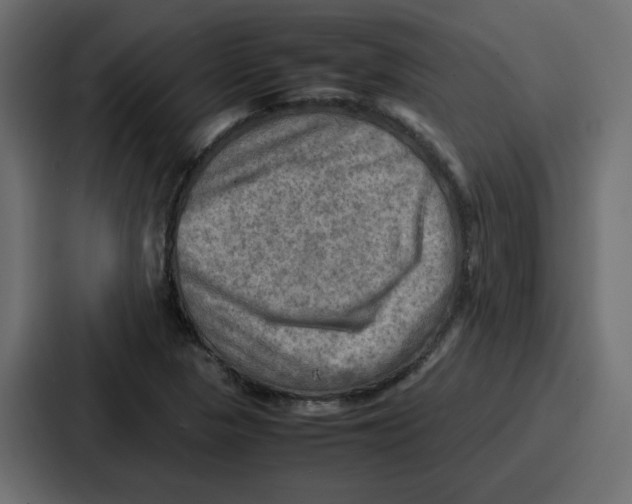 X0000086771313200705111727