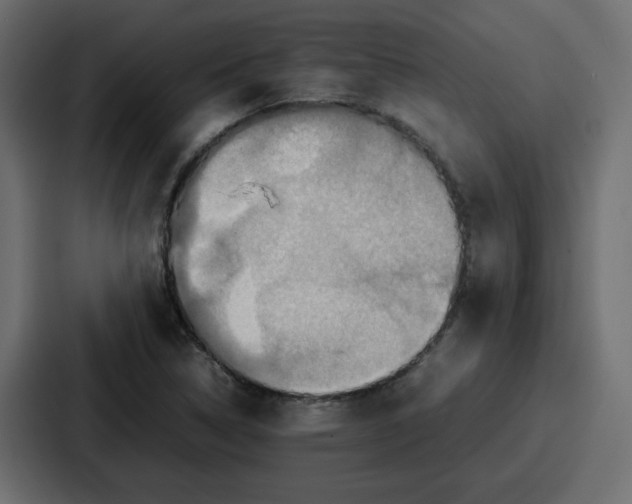 X0000086771314200705111727