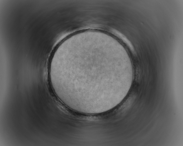 X0000086771316200705111727