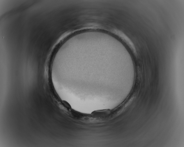 X0000086771318200705111727