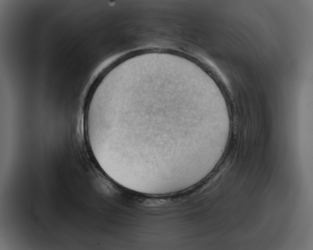 X0000086771320200705111727
