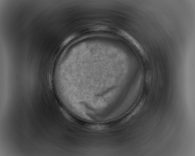 X0000086771321200705111727