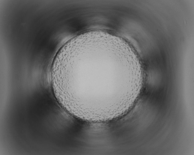 X0000086771322200705111727
