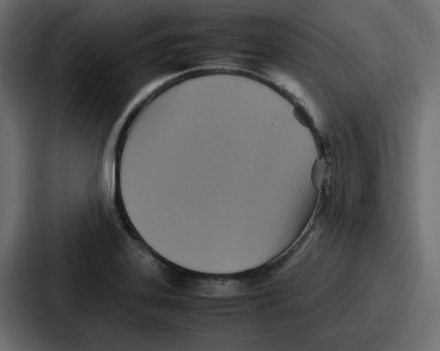 X0000086771323200705111727