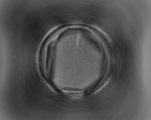 X0000086771325200705111727