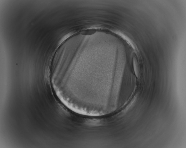 X0000086771329200705111727