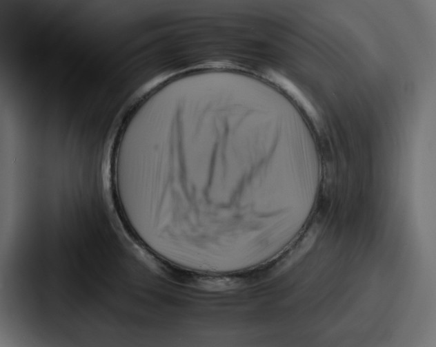 X0000086771331200705111727