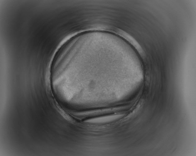 X0000086771332200705111727