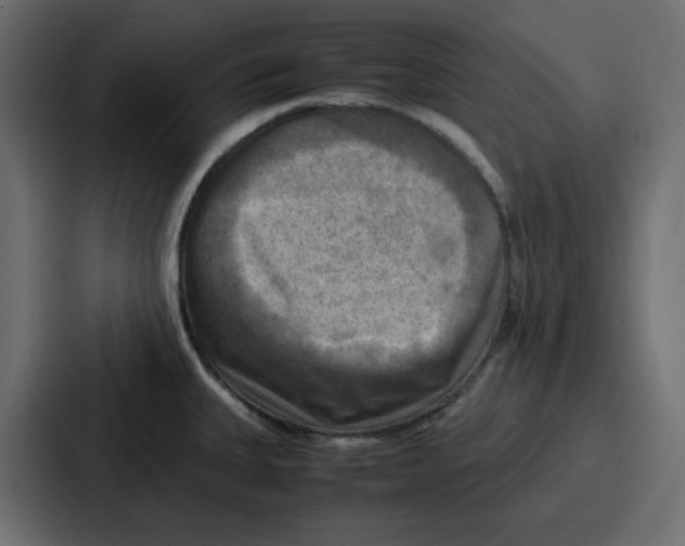 X0000086771335200705111727