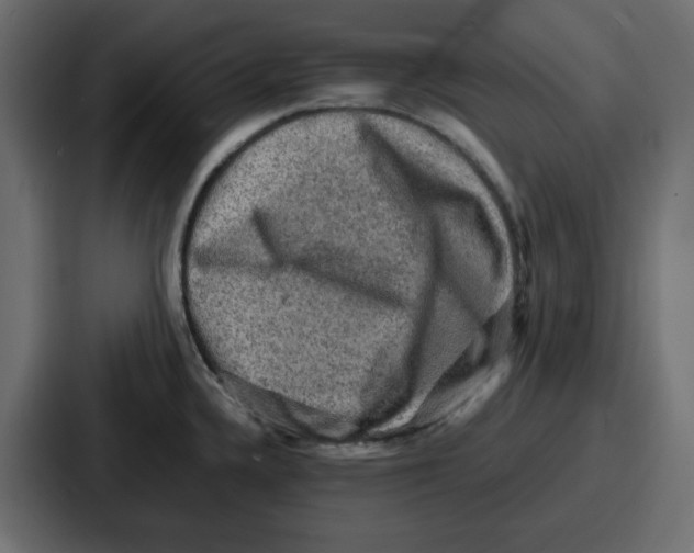 X0000086771336200705111727