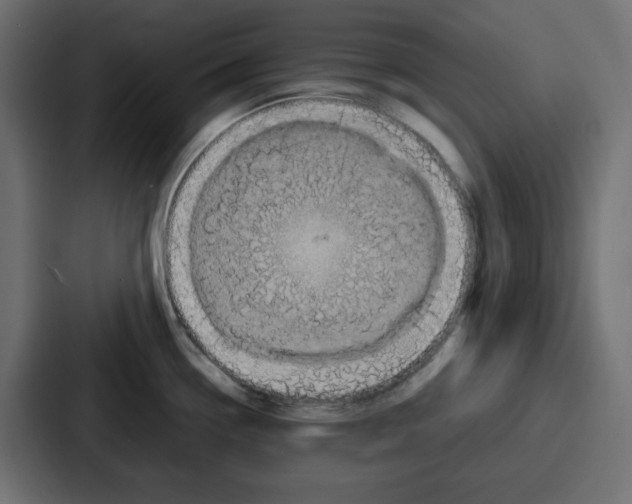 X0000086771338200705111727