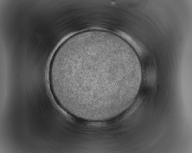 X0000086771339200705111727