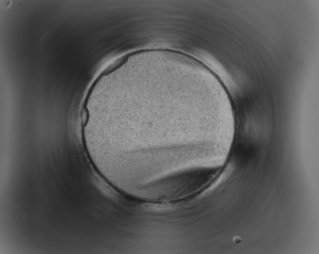 X0000086771340200705111727
