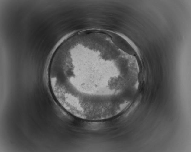 X0000086771341200705111727