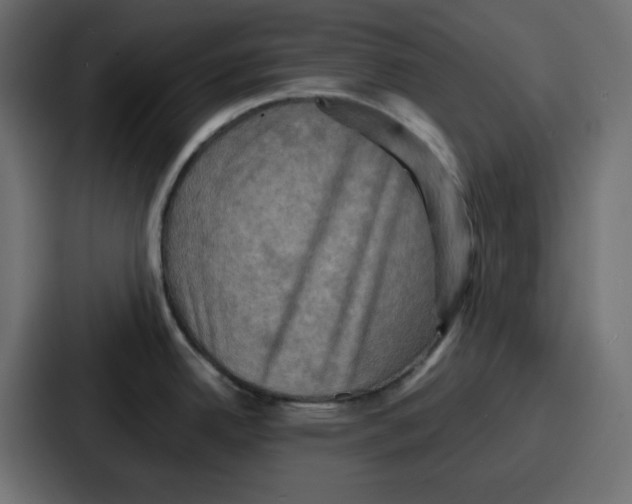 X0000086771342200705111727