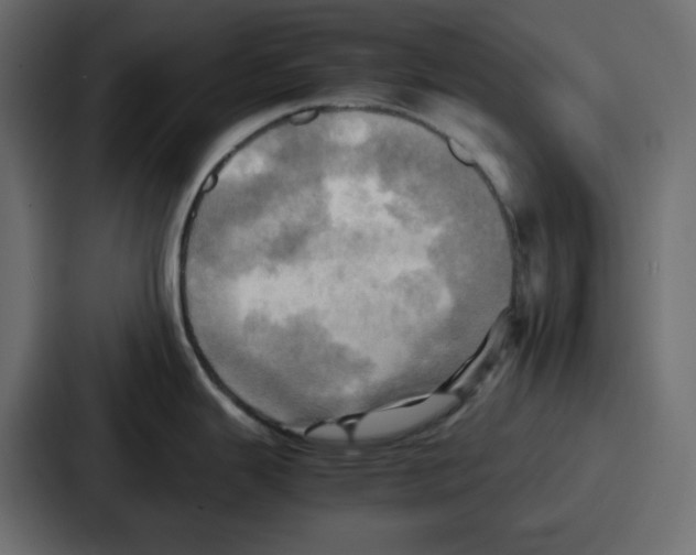 X0000086771343200705111727