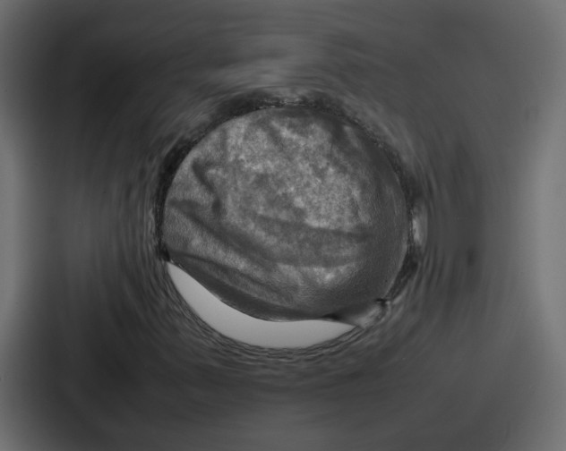 X0000086771347200705111727