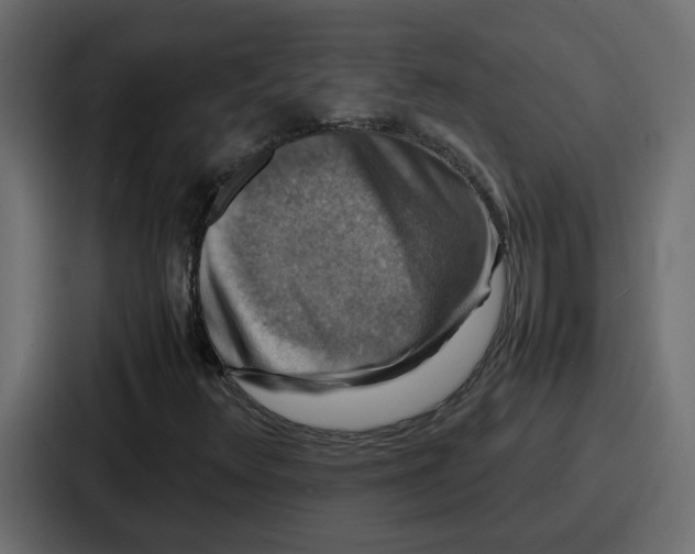 X0000086771348200705111727