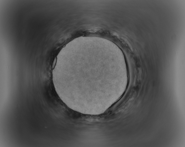 X0000086771349200705111727