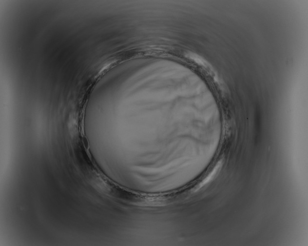 X0000086771353200705111727