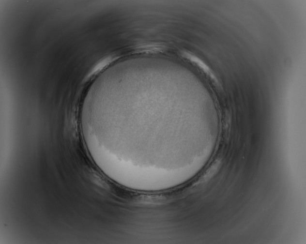X0000086771354200705111727