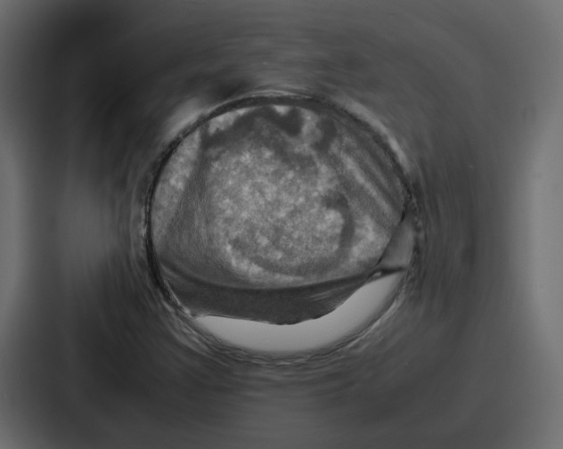 X0000086771355200705111727