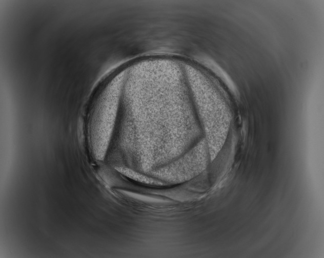 X0000086771356200705111727