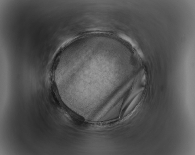 X0000086771357200705111727