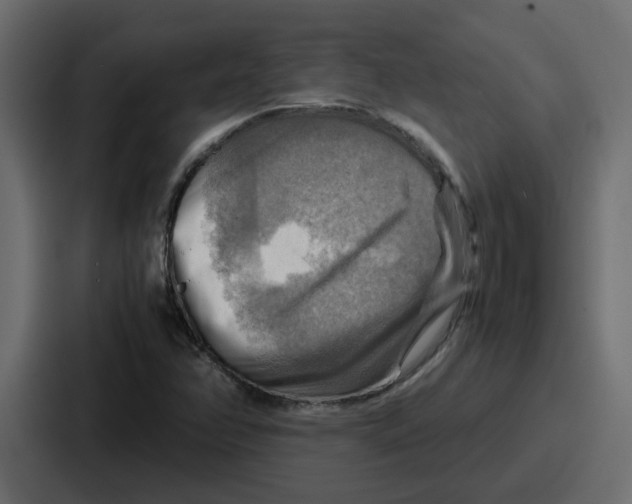 X0000086771358200705111727
