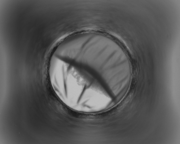 X0000086771359200705111727