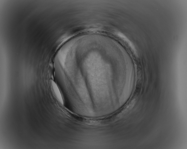 X0000086771361200705111727