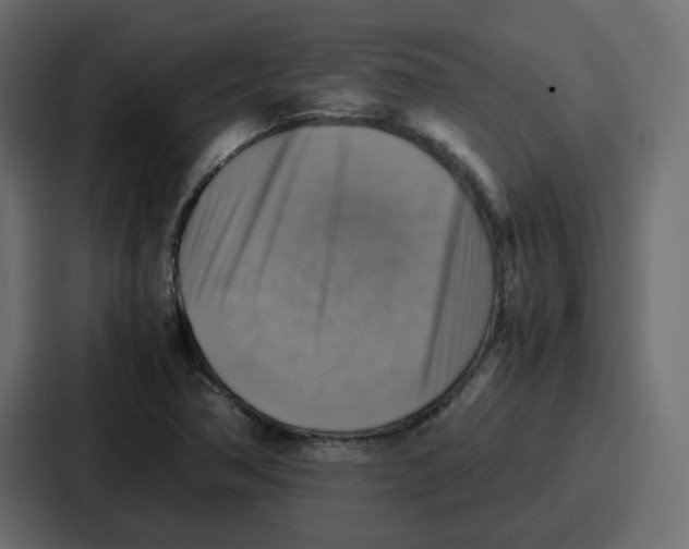X0000086771362200705111727