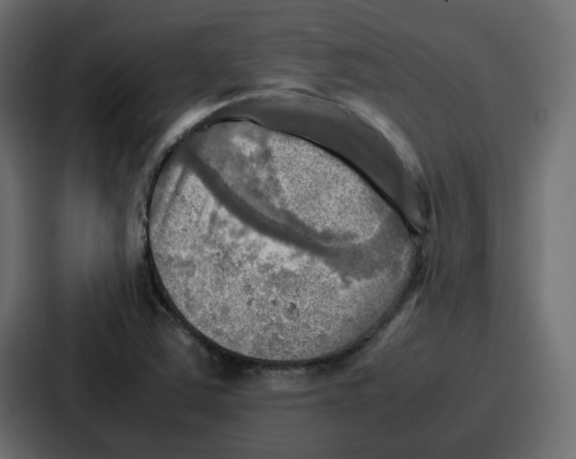 X0000086771363200705111727