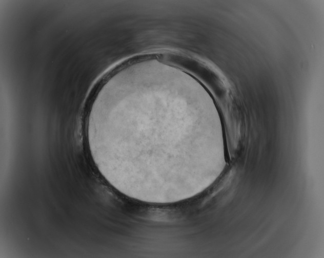 X0000086771364200705111727