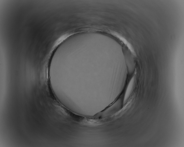X0000086771365200705111727