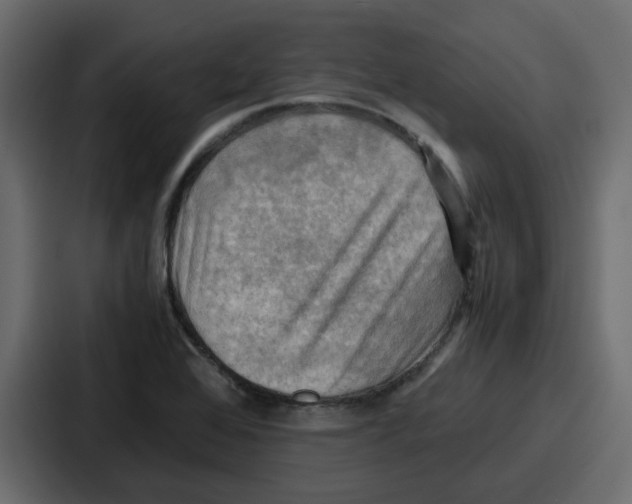 X0000086771368200705111727