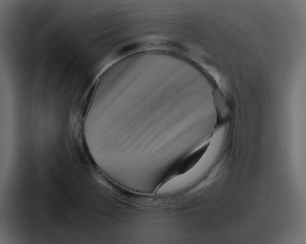 X0000086771369200705111727